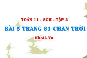 Bài 5 trang 81 Toán 11 Tập 2 Chân trời sáng tạo